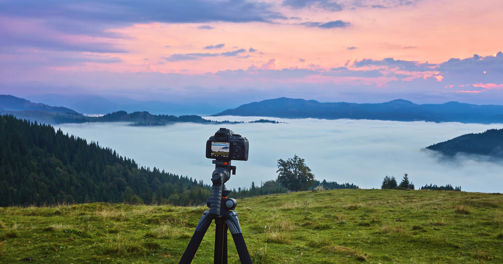 Nature’s Canvas: Mastering the Art of Landscape Photography